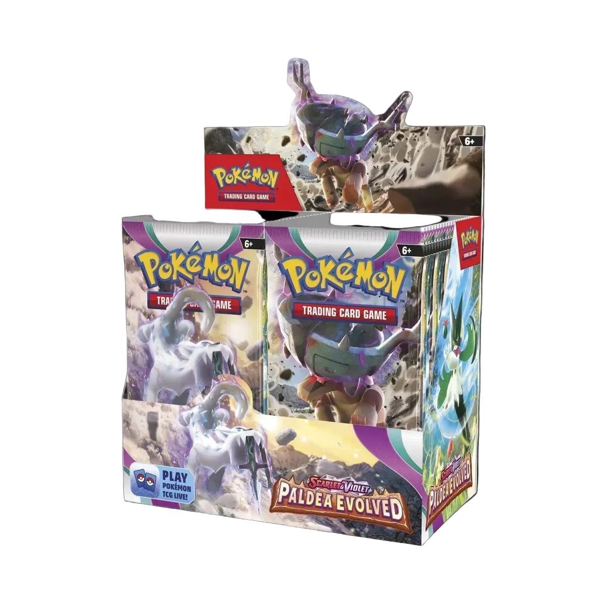 Paldea Evolved Booster Box